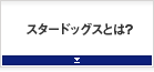 スタードッグスとは？