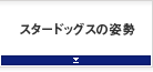 スタードッグスの姿勢